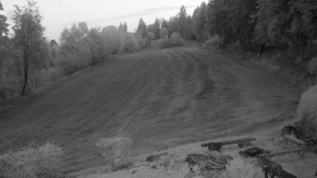 Snímek    18.9.2025 v 19:30