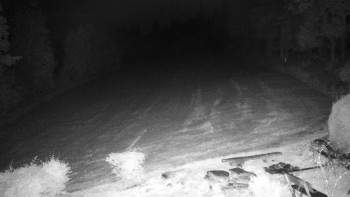 Snímek    19.9.2025 v 05:00