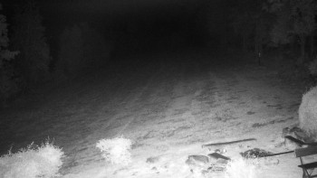 Snímek    30.9.2025 v 01:00