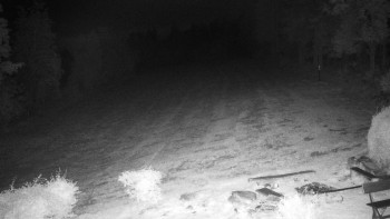 Snímek    30.9.2025 v 03:30