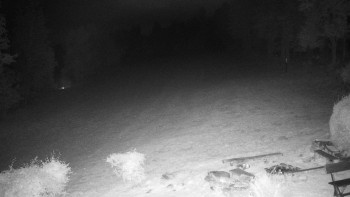 Snímek    16.10.2025 v 20:00
