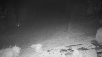 Snímek    17.10.2025 v 06:00