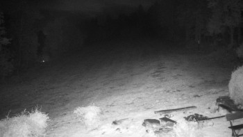 Snímek    17.10.2025 v 22:00