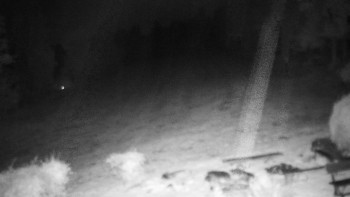Snímek    18.10.2025 v 03:00