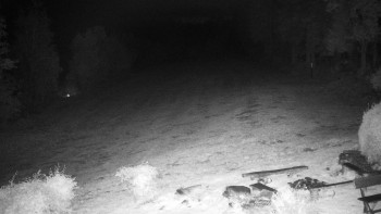 Snímek    18.10.2025 v 03:30