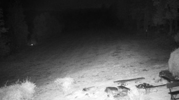 Snímek    18.10.2025 v 04:30