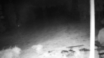 Snímek    18.10.2025 v 05:00