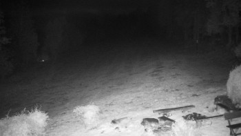 Snímek    18.10.2025 v 05:30