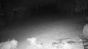 Snímek    19.10.2025 v 03:00