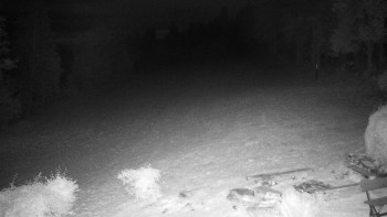 Snímek    19.10.2025 v 04:30