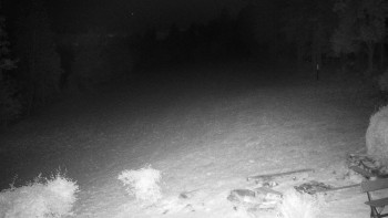Snímek    19.10.2025 v 05:30