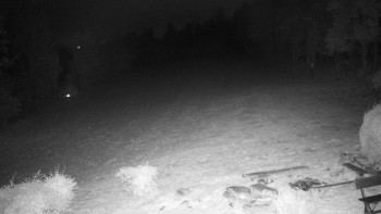 Snímek    20.10.2025 v 19:00
