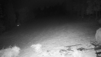 Snímek    20.10.2025 v 19:30