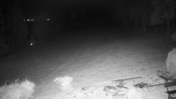 Snímek    21.10.2025 v 03:30