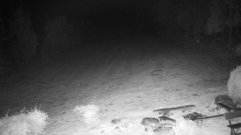 Snímek    25.10.2025 v 03:00