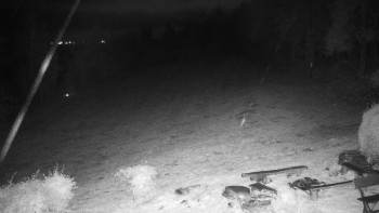 Snímek    26.10.2025 v 21:00
