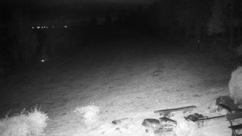 Snímek    26.10.2025 v 22:00