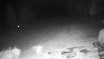 Snímek    27.10.2025 v 18:30