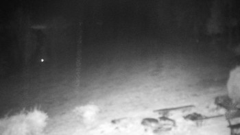 Snímek    27.10.2025 v 21:00