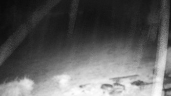 Snímek    27.10.2025 v 23:00