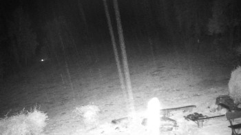 Snímek    28.10.2025 v 21:00