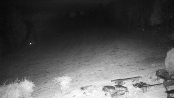 Snímek    28.10.2025 v 23:00