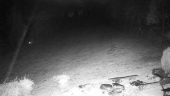 Snímek    28.10.2025 v 23:30