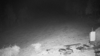 Snímek    30.10.2025 v 05:00