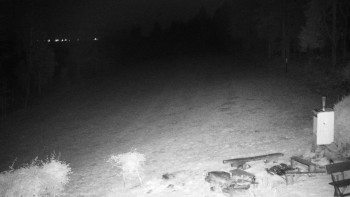 Snímek    31.10.2025 v 00:30