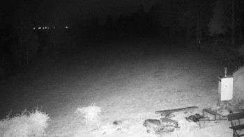 Snímek    31.10.2025 v 01:00