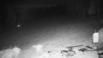 Snímek    1.11.2025 v 05:30