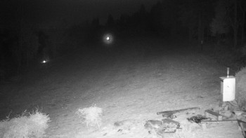 Snímek    1.11.2025 v 17:30