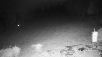 Snímek    1.11.2025 v 19:30