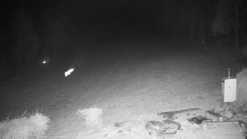 Snímek    2.11.2025 v 03:30