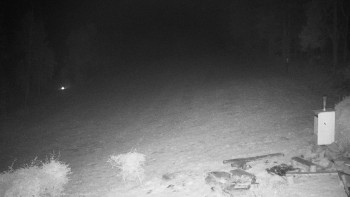 Snímek    2.11.2025 v 04:30