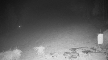 Snímek    2.11.2025 v 05:00