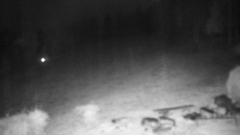 Snímek    2.11.2025 v 18:30