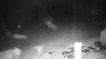 Snímek    2.11.2025 v 23:00