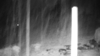 Snímek    3.11.2025 v 00:30