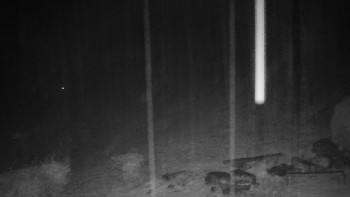 Snímek    3.11.2025 v 02:00