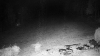 Snímek    3.11.2025 v 03:00