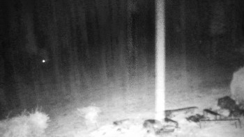 Snímek    3.11.2025 v 04:30