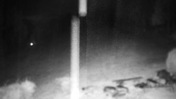 Snímek    3.11.2025 v 05:00