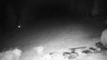 Snímek    3.11.2025 v 05:30