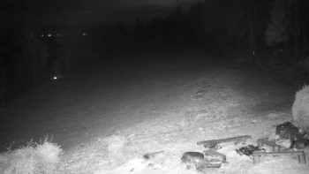 Snímek    4.11.2025 v 05:00