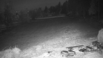 Snímek 5.11.2025 v 03:30