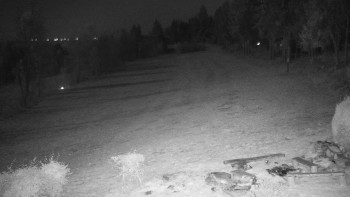 Snímek 6.11.2025 v 19:30