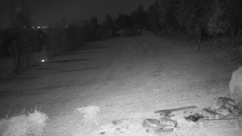 Snímek 6.11.2025 v 20:30