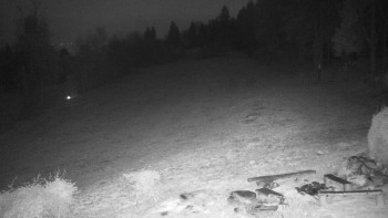 Snímek 7.11.2025 v 04:30