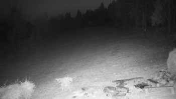 Snímek 7.11.2025 v 17:30